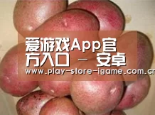产品展示标题1