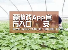 种植基地三