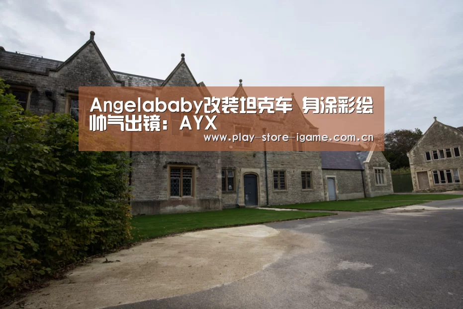 Angelababy改装坦克车 身涂彩绘帅气出镜:AYX(图1) Angelababy改装坦克车 身涂彩绘帅气出镜:AYX(图1)