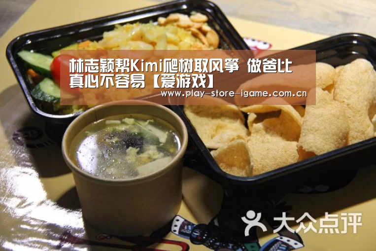 体育手机端APP