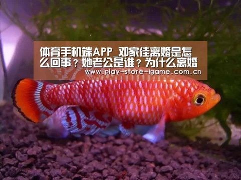 体育手机端APP_邓家佳离婚是怎么回事?她老公是谁?为什么离婚?(图3) 体育手机端APP_邓家佳离婚是怎么回事?她老公是谁?为什么离婚?(图3)