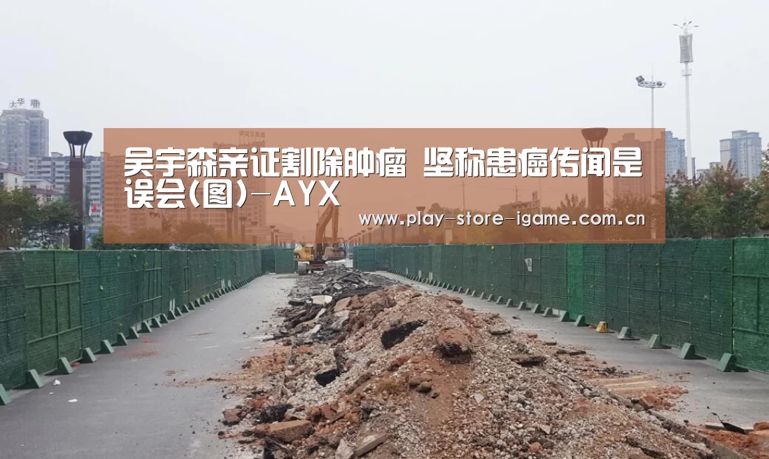 爱游戏
